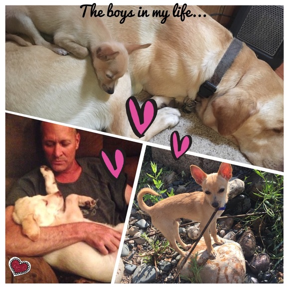 Meet your Posher, Tami - Picture 2 of 2